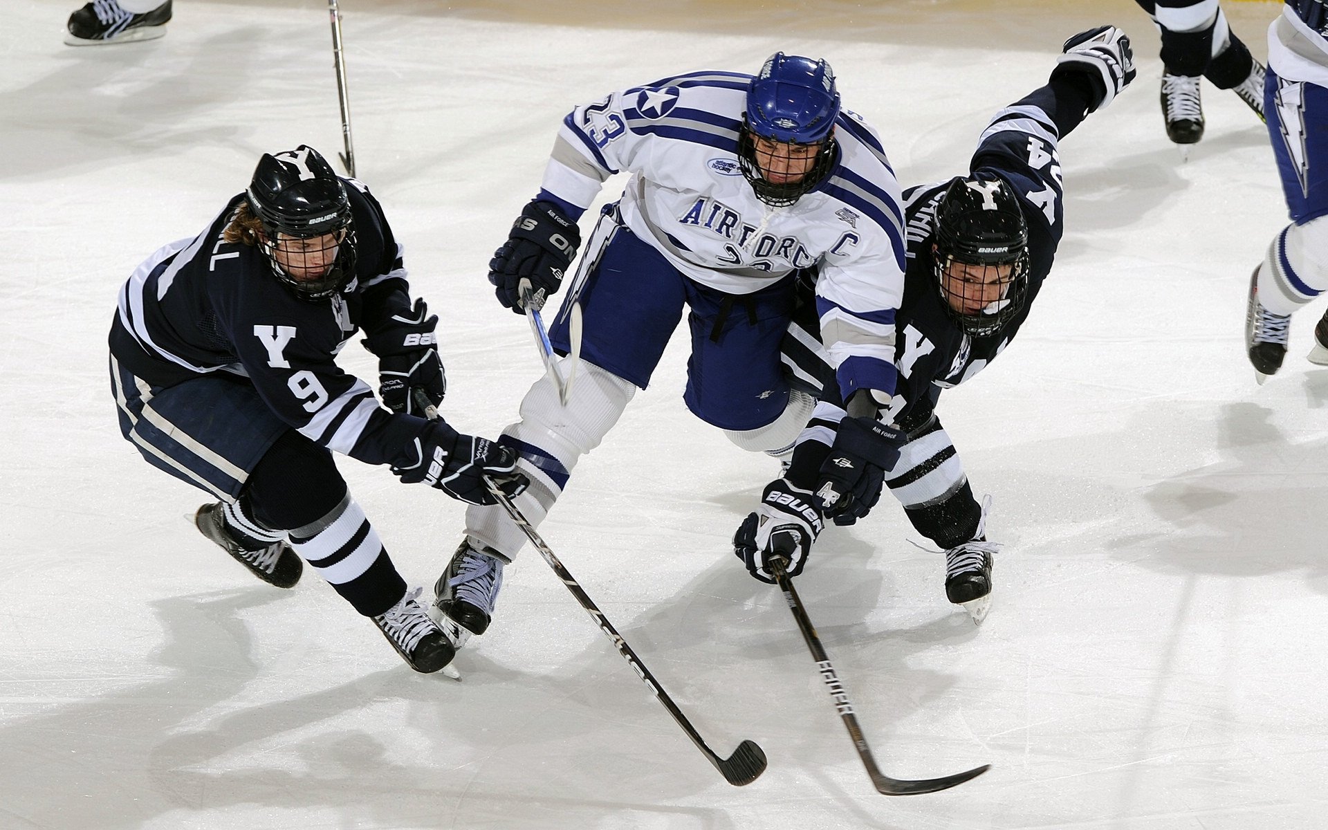 各大联赛关注度持续上升